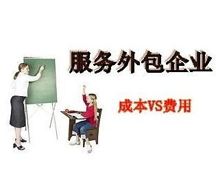 服務(wù)外包企業(yè) 企業(yè)服務(wù)領(lǐng)域的重要引擎與未來趨勢(shì)