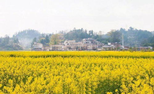 國內四大旅行寶藏省份，你都去過哪兒
